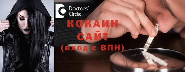 мдпв Михайлов