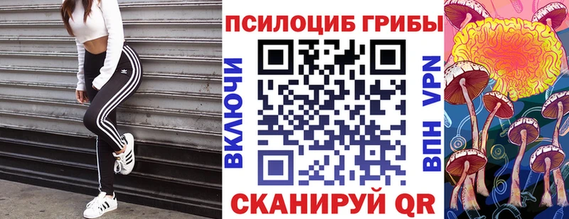 Купить закладки  Долгопрудный  Галлюциногенные грибы Psilocybe 